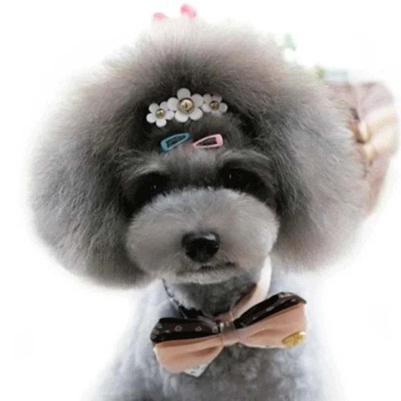 5 pz/set Coreano Mini 2 centim - Vintage Fashion Dolls recensione e prezzo